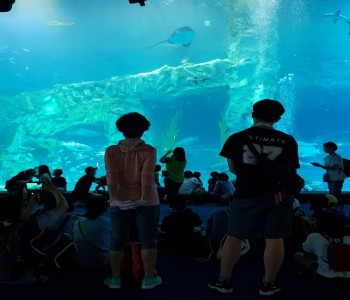 2018년 초등학생 여름방학 문화체험 '해피크닉' 이미지