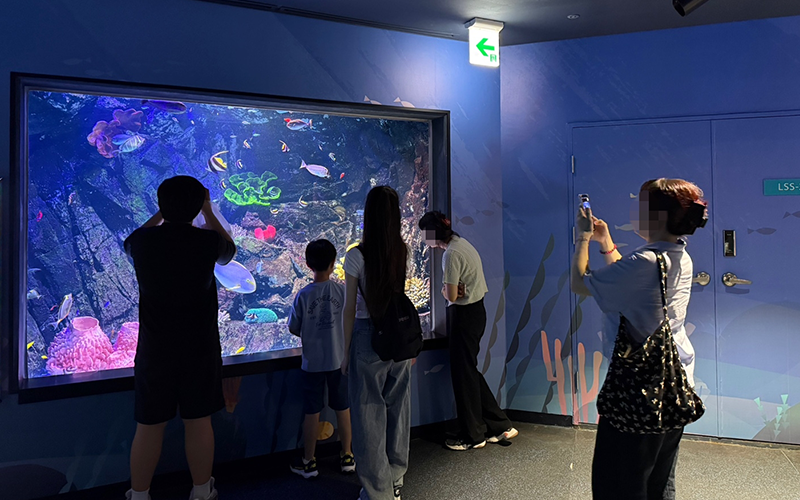 사례관리 서비스 진행사업